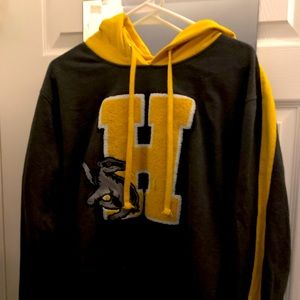 Harry Potter Hogwarts House Hufflepuff Hoodie